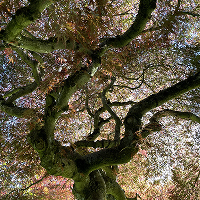 20220601_015319036_iOS