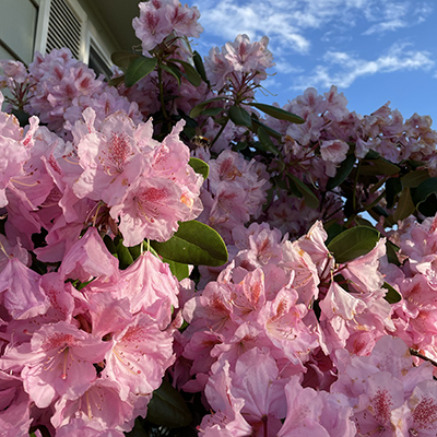 20220601_020524348_iOS