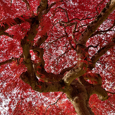 20221113_180656541_iOS