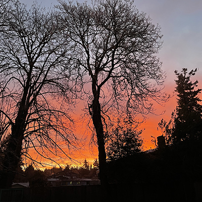 20230102_153752285_iOS