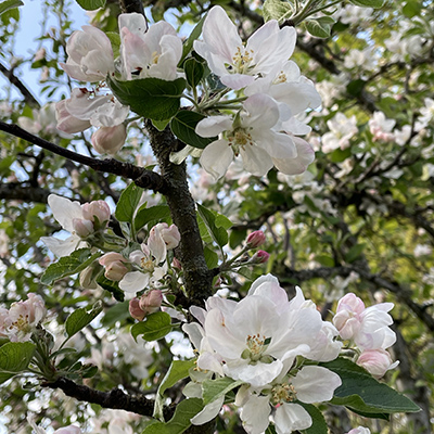 20230503_023613296_iOS