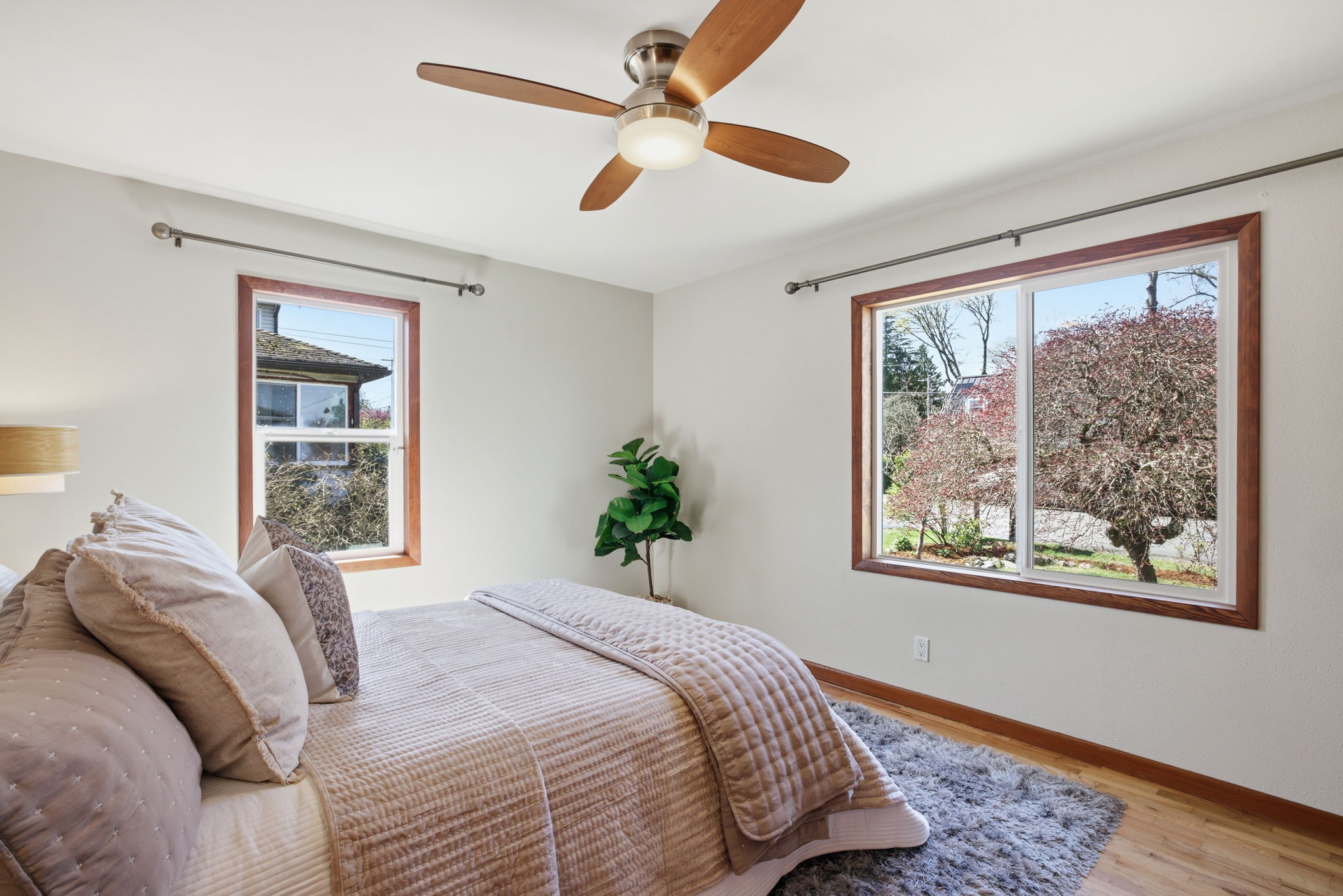 33-web-or-mls-Image33