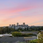 69-web-or-mls-Twilight07